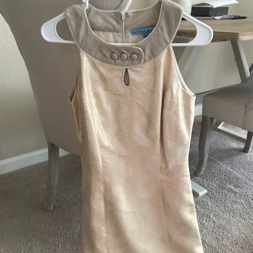 Antonio Melani Dress
